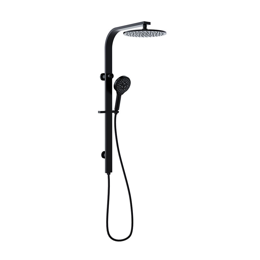 Regal Multifunction Shower