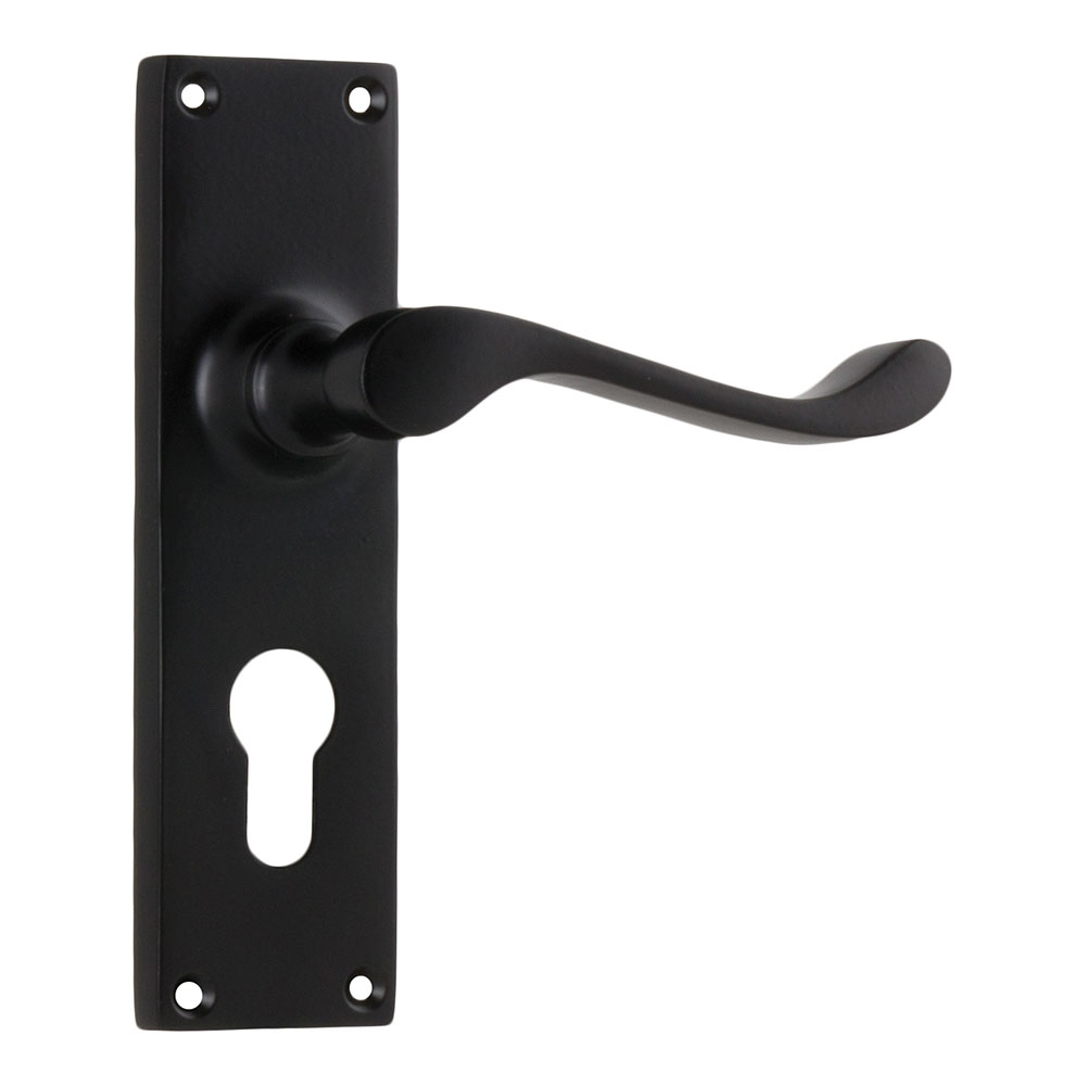 Tradco Victorian Long Backplate Lever